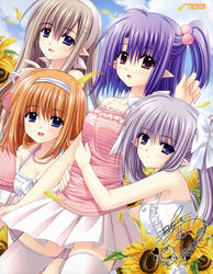  4girls absurdres ahoge blue_eyes blush bow breasts cleavage daisy_(shuffle!) day flower fuyou_kaede grey_hair hair_bobbles hair_ornament hair_ribbon hairband hairbow hairclip highres hug jewelry long_hair medium_breasts multiple_girls necklace nishimata_aoi official_art open_mouth orange_hair outdoors petals pointy_ears primula purple_eyes purple_hair ribbon ruri_matsuri shirt short_hair shuffle! shuffle!_essence+ side_ponytail striped_clothes striped_shirt sunflower thighhighs twintails white_thighhighs zettai_ryouiki 