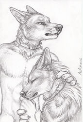  2020 5_fingers ahsan anthro black_nose canid canine canis collar duo fingers fur hyena jackal kadar male mammal nude rukis striped_hyena traditional_media_(artwork) 