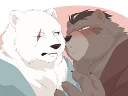  00makumakuma00 2019 4:3 anthro bear black_nose blue_eyes blush brown_body brown_eyes brown_fur brown_hair crushfang_(sdorica_sunset) dagger_(sdorica_sunset) duo eye_scar facial_scar fingers fur hair hi_res kumao male male/male mammal polar_bear scar sdorica ursine white_body white_fur 