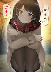  arms_on_knees ashino_moto aura bare_tree blue_eyes blurry blurry_background blush brown_coat brown_hair brown_pantyhose coat commentary_request crossed_arms depth_of_field enpera feet_out_of_frame female grin hair_ornament hairclip head_tilt highres looking_at_viewer miniskirt nijisanji outdoors pantyhose plaid plaid_scarf plaid_skirt scarf short_hair skirt smile solo squatting teeth translated tree tsukino_mito tsukino_mito_(6th_costume) twilight virtual_youtuber 