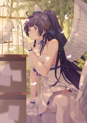  ahoge arm_support bangs bare_shoulders bird birdcage blue_flower blue_rose breasts bug butterfly cage choker cockatoo cowboy_shot dress eyebrows_visible_through_hair feathered_wings female flower gloves hair_flower hair_intakes hair_ornament highres honkai_(series) honkai_impact_3rd insects large_breasts lens_flare light_particles long_hair looking_at_another parted_lips plant pointing ponytail purple_eyes purple_hair purple_ribbon raiden_mei ribbon rose sidelocks sitting sleeveless sleeveless_dress solo sulphur-crested_cockatoo thighhighs very_long_hair werlosk white_choker white_dress white_gloves white_legwear wings 