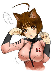  ahoge animal_ears bob_cut bodysuit breasts brown_eyes brown_hair cat_ears cat_pose female harada_makoto large_breasts paw_pose shiny shiny_clothes skin_tight solo uchuu_senkan_yamato uchuu_senkan_yamato_2199 uniform 