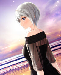  bare_shoulders beach breasts commentary_request female from_side light_smile looking_to_the_side medium_breasts nayuta69 original partial_commentary purple_eyes see-through see-through_sleeves short_hair solo sunset white_hair 