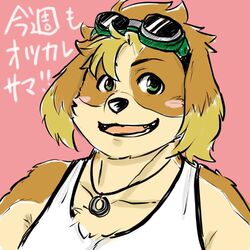  1:1 anthro blue_eyes blush canid canine canis clothing domestic_dog eyewear floppy_ears goggles hisaki_(live_a_hero) jewelry kinaisan22511 lifewonders live_a_hero male mammal necklace shirt solo tank_top topwear 