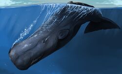  ambiguous_gender bubble cetacean cloud detailed_background grey_body imperatorcaesar mammal marine mostly_submerged mouth_closed physeteroid sea side_view solo sperm_whale toothed_whale water waterline_view whale 