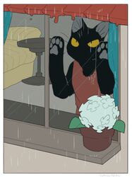  2021 ambiguous_gender black_body domestic_cat felid feline felis flower flower_pot hi_res mammal pawpads plant raining solo urushi_(yorozumaru) whiskers window yellow_eyes yorozumaru 