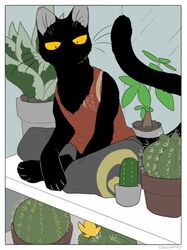  2021 ambiguous_gender anthro black_body cactus domestic_cat felid feline felis hi_res mammal paws plant solo tail urushi_(yorozumaru) whiskers yellow_eyes yorozumaru 