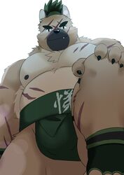  2020 anthro belly brown_body brown_fur canid canine canis cute_fangs domestic_dog fur hi_res humanoid_hands japanese_text kemono lifewonders male mammal mixvariety moobs nipples overweight overweight_anthro overweight_male scar simple_background solo sumo text tokyo_afterschool_summoners translation_request yasuyori_(tas) 