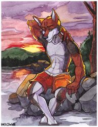  2018 anthro biped brown_body brown_fur canid canine canis closed_eyes clothed clothing detailed_background fur grey_body grey_fur helgwar hi_res lake male mammal outside painting_(artwork) red_wolf sitting solo sunset swimming_trunks swimwear topless traditional_media_(artwork) water watercolor_(artwork) white_body white_fur wolf yokhame 