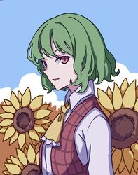  ascot collared_shirt commentary female field flower flower_field garden_of_the_sun green_hair kame_(kamepan44231) kazami_yuuka long_sleeves one-hour_drawing_challenge plaid plaid_vest red_eyes red_vest shirt short_hair smile solo sunflower sunflower_field touhou upper_body vest wavy_hair white_shirt yellow_ascot 