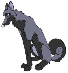  aliasing ambiguous_gender black_body black_fur black_nose canid canine countershading curled_tail digital_drawing_(artwork) digital_media_(artwork) digitigrade feral flat_colors full-length_portrait fur green_eyes grey_body grey_fur grey_inner_ear grey_inner_ear_fluff inner_ear_fluff looking_down low_res mammal paws portrait reverse_countershading simple_background sitting snout solo tail tuft unknown_artist whiskers white_background 