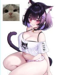  animal_ears bell black_hair bra_strap breasts cat_ears cat_girl cat_tail cleavage closed_mouth crop_top ear_piercing extra_ears female hair_ornament hairclip heart heart_panties heart_print highres indie_virtual_youtuber kuromi large_breasts luvei_(vtuber) medium_hair navel neck_bell oerba_yun_fang onegai_my_melody panties photo_inset piercing pink_eyes plump print_panties purple_hair sanrio solo tail tifa_(iluvei) underwear white_panties 