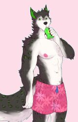  anthro beverage canid canine canis clothed clothing curious digital_media_(artwork) domestic_dog drinking ear_markings fur green hi_res himerosthegod husky jake_nirazar juice_box male mammal markings multicolored_ears nordic_sled_dog simple_background solo spitz spots swimwear tail white_body white_fur 