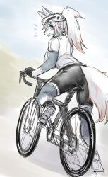  anthro armor ass bicycle bottomwear canid canine canis clothing cycling female footwear headgear helmet hi_res looking_back male male/female mammal okami_bark ookamiwaho outside shoes shorts solo spandex spandex_shorts tight_bottomwear tight_clothing tight_shorts vehicle wolf 