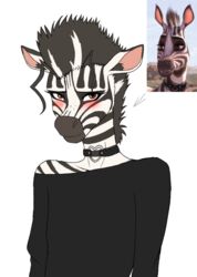  anthro black_clothing blush brown_eyes choker clothing equid equine femboy jewelry khumba khumba_(film) looking_at_viewer male mammal necklace qunteki slim smile solo striped_body stripes zebra 