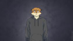  16:9 black_nose bodily_fluids canid canine clothed clothing codyf0xx dakota_mathews fox fur hi_res hoodie inner_ear_fluff mammal nervous orange_body orange_fur sweat tan_inner_ear_fluff topwear tuft widescreen 