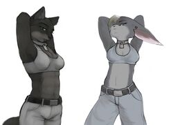  2008 anthro belt black_body black_fur bottomwear breasts clothing collar crop_top domestic_cat duo felid feline felis female fur grey_body grey_fur ipoke mammal midriff navel pants piercing shirt simple_background standing topwear white_background 