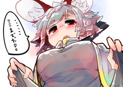  animal_humanoid big_ears blush breasts capelet clothed clothing female grey_hair hair hi_res humanoid inner_ear_fluff japanese_text low-angle_view mammal mammal_humanoid medium_breasts mouse_humanoid murid murid_humanoid murine murine_humanoid nazrin open_mouth red_eyes rodent rodent_humanoid sabitare shirt short_hair solo speech_bubble teeth text topwear touhou translated tuft 