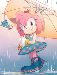  amy_rose bad_id bad_pixiv_id blue_dress blue_footwear boots character_doll closed_mouth dress female floral_print full_body furry furry_female gloves green_eyes hairband holding holding_umbrella looking_at_viewer msg01 rain red_hairband smile solo sonic_(series) sonic_the_hedgehog standing umbrella white_gloves 