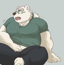  2020 anthro bear belly bottomwear cddi_h clothing eyewear glasses humanoid_hands kemono leib_(tas) lifewonders male mammal overweight overweight_anthro overweight_male pants polar_bear shirt simple_background sitting solo tokyo_afterschool_summoners topwear ursine 