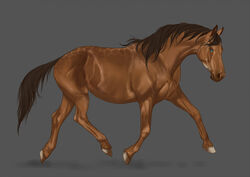  2022 ambiguous_gender blue_eyes brown_body brown_hair brown_mane brown_tail digital_media_(artwork) dolero equid equine feathering feral fur hair hooves horse looking_at_viewer mammal mane solo superlavplov tail trotting 