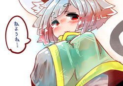  animal_humanoid big_breasts blush breasts capelet clothed clothing female grey_hair hair hi_res humanoid inner_ear_fluff japanese_text mammal mammal_humanoid mouse_humanoid murid murid_humanoid murine murine_humanoid nazrin red_eyes rodent rodent_humanoid sabitare shirt short_hair solo speech_bubble text topwear touhou translated tuft 