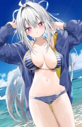  ahoge beach bikini blue_bikini blue_jacket breasts cowboy_shot female grey_hair hair_intakes high_ponytail highres hood hooded_jacket jacket kamioka_shun&#039;ya large_breasts long_hair navel ocean original purple_eyes shiori_(kamioka_shun&#039;ya) solo striped_bikini striped_clothes swimsuit white_bikini 