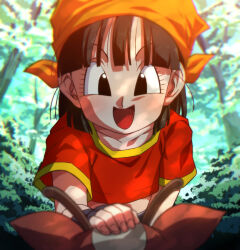  :d animal bandana black_eyes black_gloves black_hair collarbone dragon_ball dragon_ball_gt female fingerless_gloves forest gloves nature orange_bandana outdoors pan_(dragon_ball) red_shirt rom_(20) shirt short_hair short_sleeves smile solo tree 