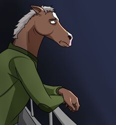  2020 bojack_horseman bojack_horseman_(character) clothing equid equine hi_res horse indiglows jacket male mammal netflix night railing solo topwear 