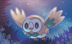  creature no_humans official_art pokemon pokemon_(creature) pokemon_trading_card_game rowlet solo third-party_source tsuruta_saya 