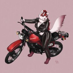  1:1 absurd_res biker bottomwear breasts cleavage clothed clothing cycle digital_media_(artwork) dirt_bike domestic_cat felid feline felis female hair hi_res jacket kirkesan leather leather_bottomwear leather_clothing leather_jacket leather_pants leather_topwear looking_at_viewer maine_coon mammal miyumi motorcycle pants red_hair retro simple_background smile solo suzuki topwear vehicle vintage 