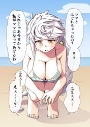  alternate_costume asymmetrical_hair barefoot beach bikini blue_sky braid breasts cloud day female grey_bikini horizon kantai_collection large_breasts long_hair ocean outdoors single_braid sky solo squatting swimsuit tatahai unryuu_(kancolle) very_long_hair white_hair 