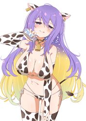  absurdres animal_ears animal_print bell bikini blue_eyes blush breasts choker cleavage colored_inner_hair commentary cow_ears cow_print cow_print_bikini cow_tail cowbell elbow_gloves english_commentary eyes_visible_through_hair female gloves highres hololive hololive_indonesia jitome large_breasts long_hair looking_at_viewer midoku_(itijikusakura) milk moona_hoshinova multicolored_hair navel o-ring o-ring_choker print_bikini purple_hair side-tie_bikini_bottom solo star_(symbol) starry_hair swimsuit tail thighhighs tongue tongue_out two-tone_hair virtual_youtuber 