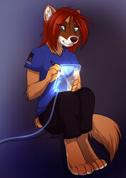  anthro avoid_posting blue_eyes bottomwear brown_body brown_fur brown_nose clothing female fur hair hiraaetus keihound mammal mustelid musteline orange_body orange_fur pants pen red_body red_fur red_hair shirt sitting solo tablet topwear true_musteline weasel whiskers white_body white_fur 