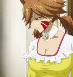  breasts brown_hair fairy_tail female female millianna screencap solo stitched 