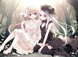  2girls bare_shoulders between_legs black_bow black_dress black_thighhighs black_vs_white blush bow bow_legwear breasts brown_hair cleavage closed_mouth commentary day dress dress_bow dress_flower expressionless floating_hair flower forest frilled_dress frills full_body grey_eyes hairbow hand_between_legs hand_up inugami_kira knees_up long_hair looking_at_another looking_at_viewer medium_breasts multiple_girls nature on_ground open_mouth original outdoors purple_eyes rose sitting sleeveless sleeveless_dress small_breasts straight_hair symbol-only_commentary thighhighs twitter_username very_long_hair wariza watermark white_bow white_dress white_flower white_hair white_rose white_thighhighs zettai_ryouiki 