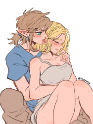  1boy aorin_(riley17_a) bare_shoulders blonde_hair blue_shirt blush braid brown_hair brown_pants closed_eyes couple dress ear_blush earrings female green_eyes highres hug hug_from_behind jewelry licking licking_ear link pants pointy_ears ponytail princess_zelda shirt short_hair simple_background straight sweat the_legend_of_zelda the_legend_of_zelda:_breath_of_the_wild the_legend_of_zelda:_tears_of_the_kingdom thighs white_dress 