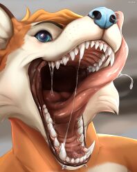  anthro blue_eyes blue_nose bodily_fluids canid canine cheek_tuft facial_piercing facial_tuft fangs front_view fur glistening glistening_eyes hair hi_res licking licking_lips licking_own_lips lip_piercing male male_anthro mammal mouth_shot nose_piercing nose_ring nostril_ring open_mouth orange_body orange_fur orange_hair piercing ring_piercing roobin saliva saliva_on_tongue saliva_string sharp_teeth snakebite_piercing solo teeth tongue tongue_out tuft white_body white_fur 