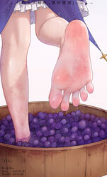  artist_name bare_legs barefoot barrel commentary dated dress feet female food foot_focus fruit grape_stomping grapes highres lower_body original pixiv_id purple_dress qizhu shiny_skin simple_background soles solo spread_toes standing standing_on_one_leg timestamp toes translation_request wet white_background 