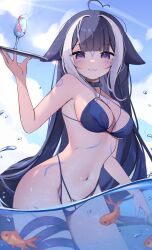  :3 ahoge animal_ears belt_collar bikini black_hair blue_bikini blue_collar blue_sky body_markings breasts cetacean_tail cleavage cloud collar facial_mark female fins fish fish_tail grey_hair halterneck heart heart_ahoge highres hiroside holding holding_plate indie_virtual_youtuber large_breasts long_hair looking_at_viewer multicolored_hair navel orca_girl plate purple_eyes shrimp shylily shylily_(bikini) sidelocks sky smile solo streaked_hair swimsuit tail very_long_hair virtual_youtuber wading water 