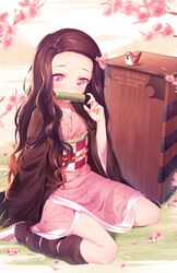  artist_name bird bit_gag black_hair black_socks blush branch checkered_sash cherry_blossoms chuntarou_(kimetsu_no_yaiba) day female forehead full_body gag gagged grass hair_ribbon haori japanese_clothes kamado_nezuko kimetsu_no_yaiba kimono kneehighs long_hair long_sleeves looking_at_viewer obi on_grass on_ground open_clothes outdoors pink_eyes pink_kimono pink_ribbon pixiv_id red_hair ribbon rimuu sash sitting socks solo sparrow spring_(season) twitter_username very_long_hair wariza wavy_hair wide_sleeves 