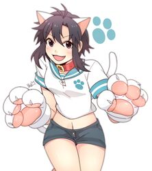  ahoge animal_ears black_hair cat_ears collar cowboy_shot idolmaster ilhi kikuchi_makoto navel open_mouth purple_eyes short_shorts smile tail 