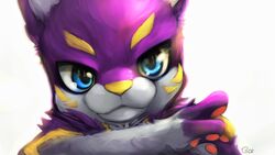  16:9 2016 4_fingers ambiguous_gender anthro b.cat blue_eyes canid canine facial_markings fingers front_view fur head_markings headshot_portrait hi_res mammal markings pawpads pink_pawpads portrait purple_body purple_fur signature simple_background solo sparklefur white_background white_body white_fur widescreen wishbone_mouth yellow_markings yellow_nose 