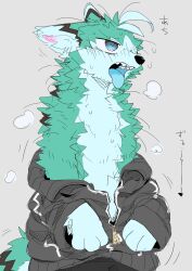  2024 anthro biped black_clothing black_hoodie black_topwear blue_eyes blue_tongue bodily_fluids canid canine clothing fox fur green_body green_fur hi_res hoodie juutton male mammal solo sweat sweatdrop sweaty_body tongue topwear undressing_self 