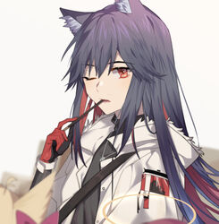  animal_ear_fluff animal_ears arknights black_gloves black_shirt brown_eyes chinese_commentary commentary_request eating female food fur_trim gloves grey_hair hair_between_eyes highres holding holding_food holding_pocky idass_(idass16) jacket jewelry long_hair long_sleeves looking_at_viewer multicolored_clothes multicolored_gloves necklace official_alternate_costume one_eye_closed open_mouth pocky red_gloves shirt shoulder_strap simple_background solo teeth texas_(arknights) texas_(winter_messenger)_(arknights) upper_body white_background white_jacket wolf_ears 