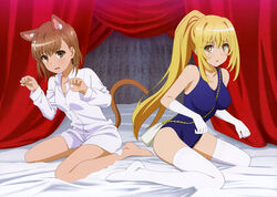  2girls absurdres alternate_hairstyle animal_ear_fluff animal_ears bag bare_legs barefoot bed bed_sheet between_breasts blonde_hair blue_one-piece_swimsuit breasts breasts_apart brown_eyes brown_hair canopy_bed cat_ears cat_girl cat_tail collarbone collared_shirt dress_shirt elbow_gloves embarrassed floating_hair full_body gloves handbag high_ponytail highres indoors kemonomimi_mode long_hair long_sleeves looking_at_viewer medium_breasts medium_hair misaka_mikoto multiple_girls naked_shirt on_bed one-piece_swimsuit open_mouth paw_pose school_swimsuit shirt shokuhou_misaki swimsuit symbol-shaped_pupils tail thighhighs toaru_kagaku_no_railgun toaru_kagaku_no_railgun_t toaru_majutsu_no_index very_long_hair wavy_mouth white_gloves white_shirt white_thighhighs wing_collar yoshida_yuuko_(animator) 