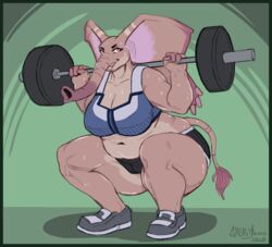  2020 anthro barbell big_breasts bodily_fluids border breasts cleavage clothed clothing elephant elephantid exercise female greasymojo green_border hi_res mammal musclegut muscular muscular_female proboscidean sarah_fairhart slightly_chubby solo sweat thick_thighs weightlifting workout 