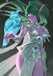  armor armored_dress bird bird_on_hand blue_gemstone breasts cleavage closed_mouth colored_skin commentary crescent crescent_facial_mark elf english_commentary facial_mark female fingernails floating_hair gem green_hair highres long_eyebrows long_fingernails long_hair medium_breasts ori_dal owl pelvic_curtain pointy_ears ponytail purple_skin solo tyrande_whisperwind vambraces warcraft white_eyes world_of_warcraft 