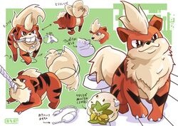  absurd_res ambiguous_gender black_nose bowl brown_eyes chest_tuft container eldegoss feral fur generation_1_pokemon generation_8_pokemon growlithe head_tuft hi_res japanese_text model_sheet ni_cd0173 nintendo orange_body orange_fur paws pet_bowl pokemon pokemon_(species) rope simple_background solo tail tail_motion tailwag tan_body tan_fur text toy tuft yamper 