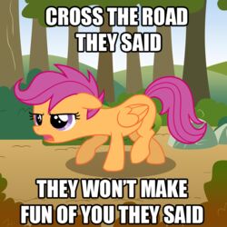  1:1 2013 annoyed bush_(disambiguation) english_text equid equine female forest friendship_is_magic hair hasbro horse image_macro mammal meme my_little_pony mythological_creature mythological_equine mythology outside pegasus plant pony purple_eyes purple_hair rock scootaloo_(mlp) sketchyjackie sky solo text tree wings 